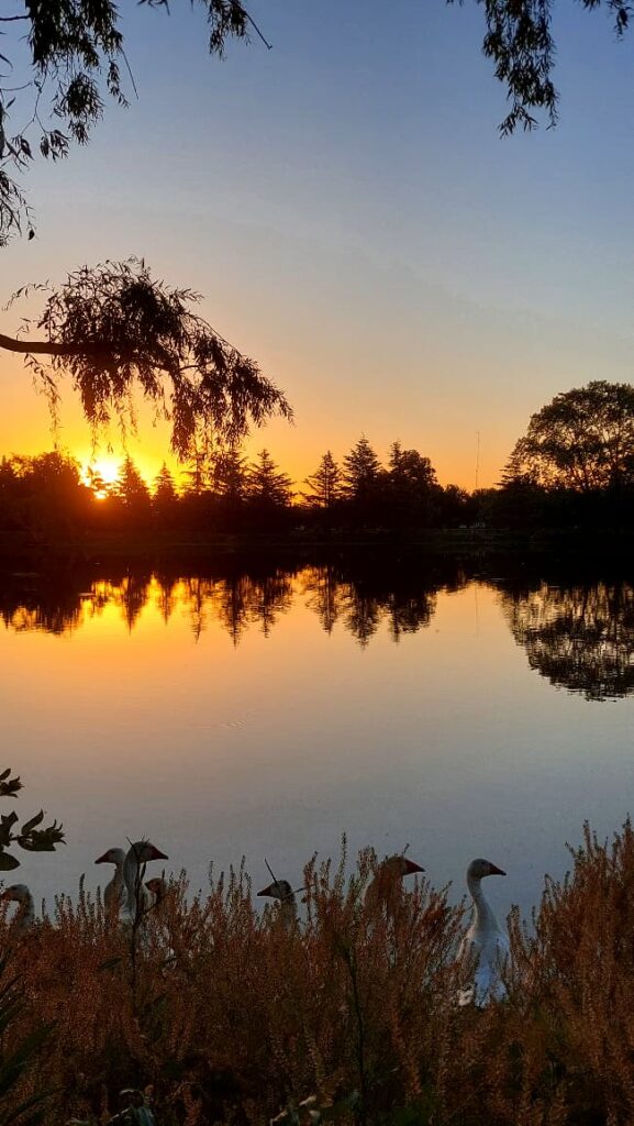 Atardecer de un lago